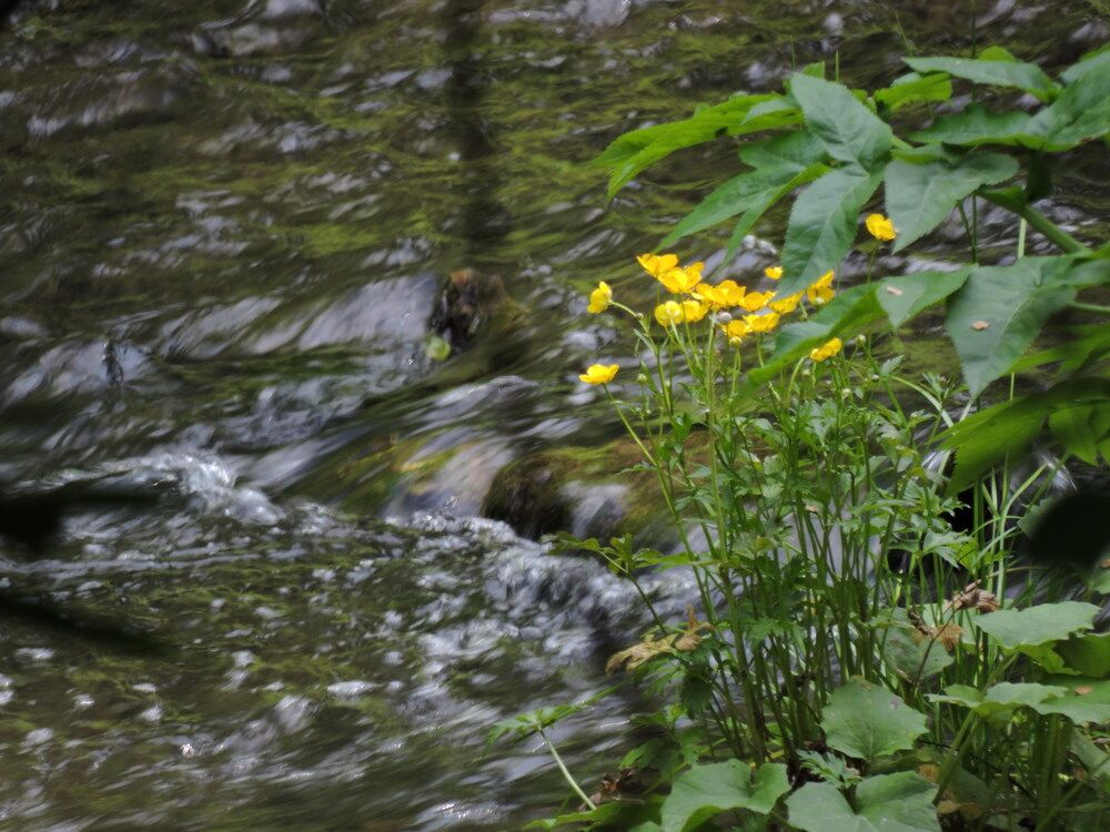 Фотография автора Алексей Власов
