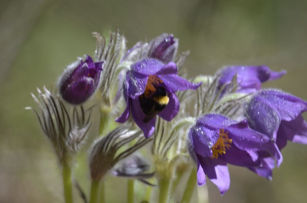 Фотография автора Алексей Власов