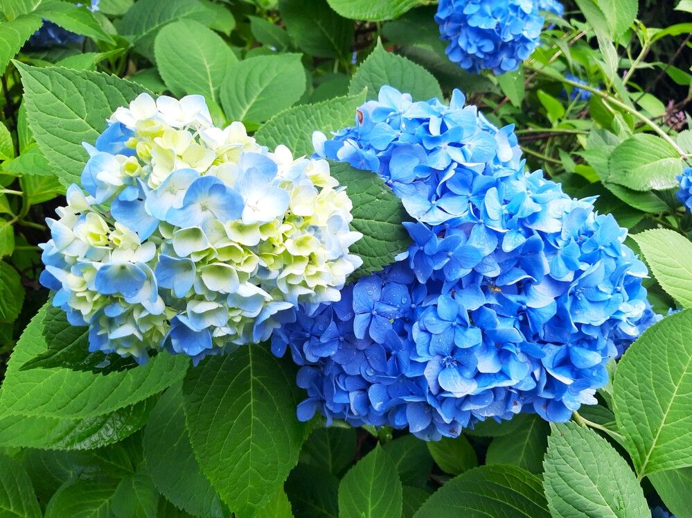 Photograph by Галина Глазкова