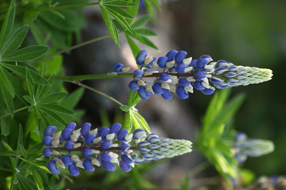 Photograph by Елена Одынец