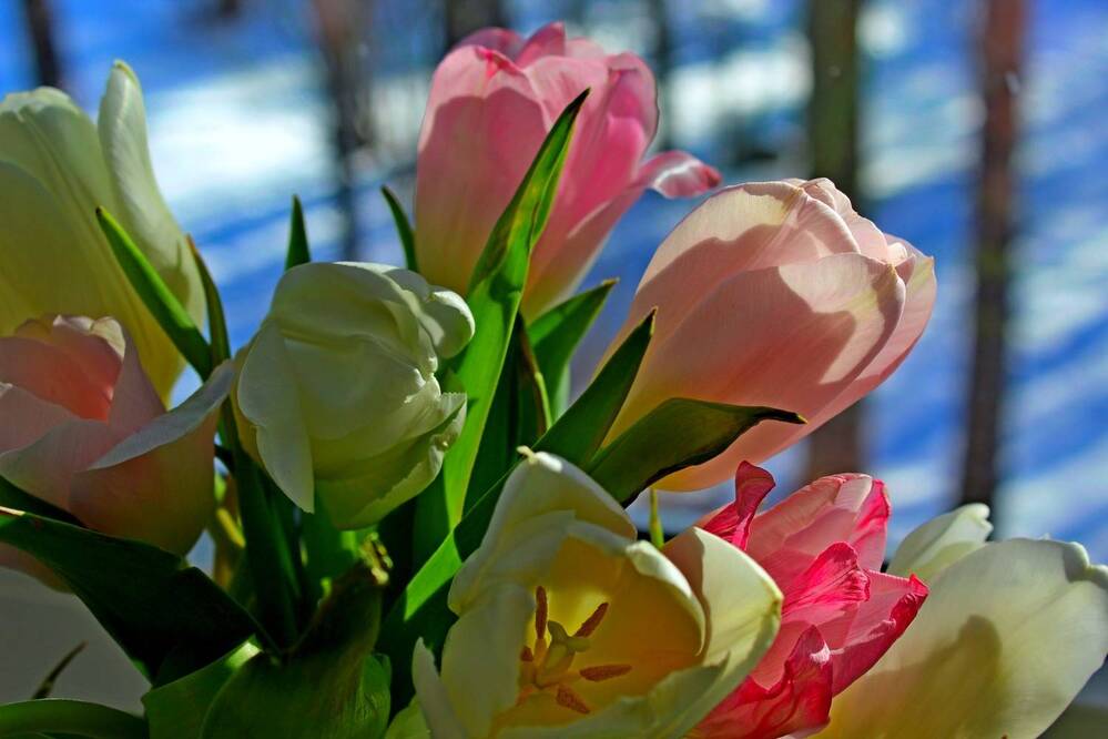 Photograph by Юлия Иванова