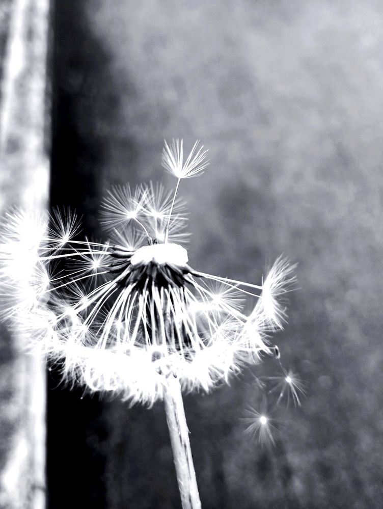 Photograph by Katja