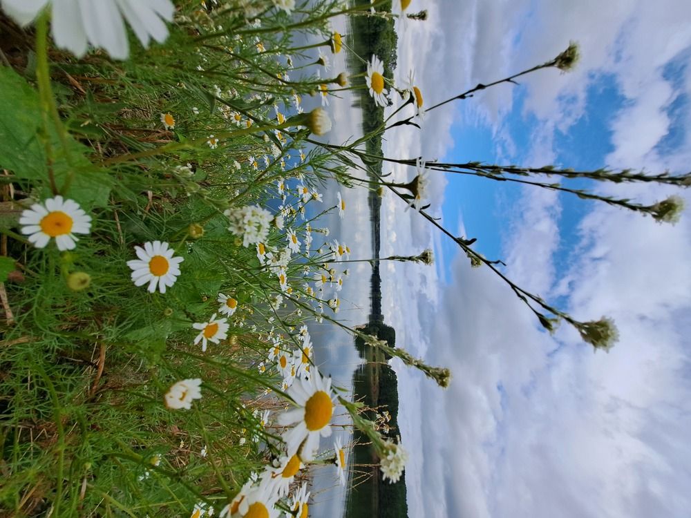 Photograph by Светлана Яковлева