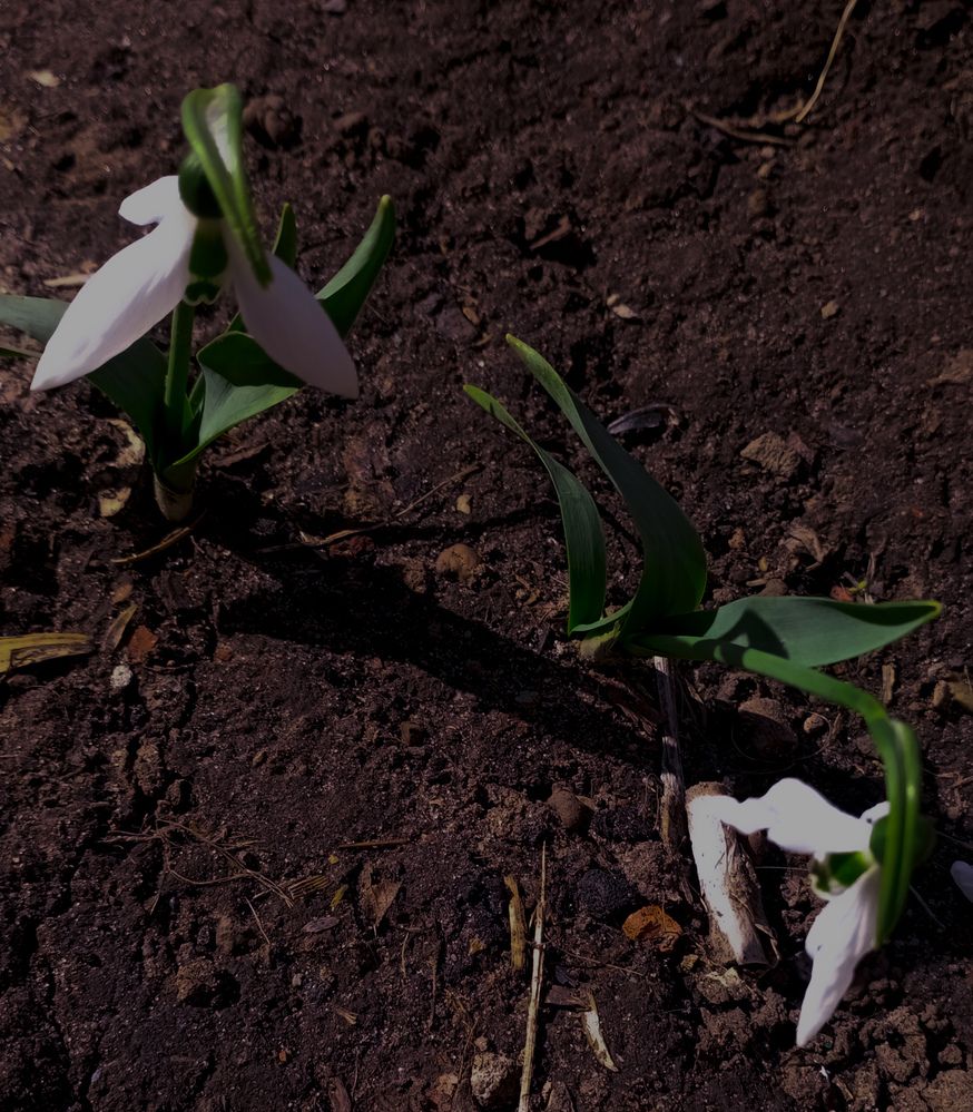 Photograph by Елена Ерасова