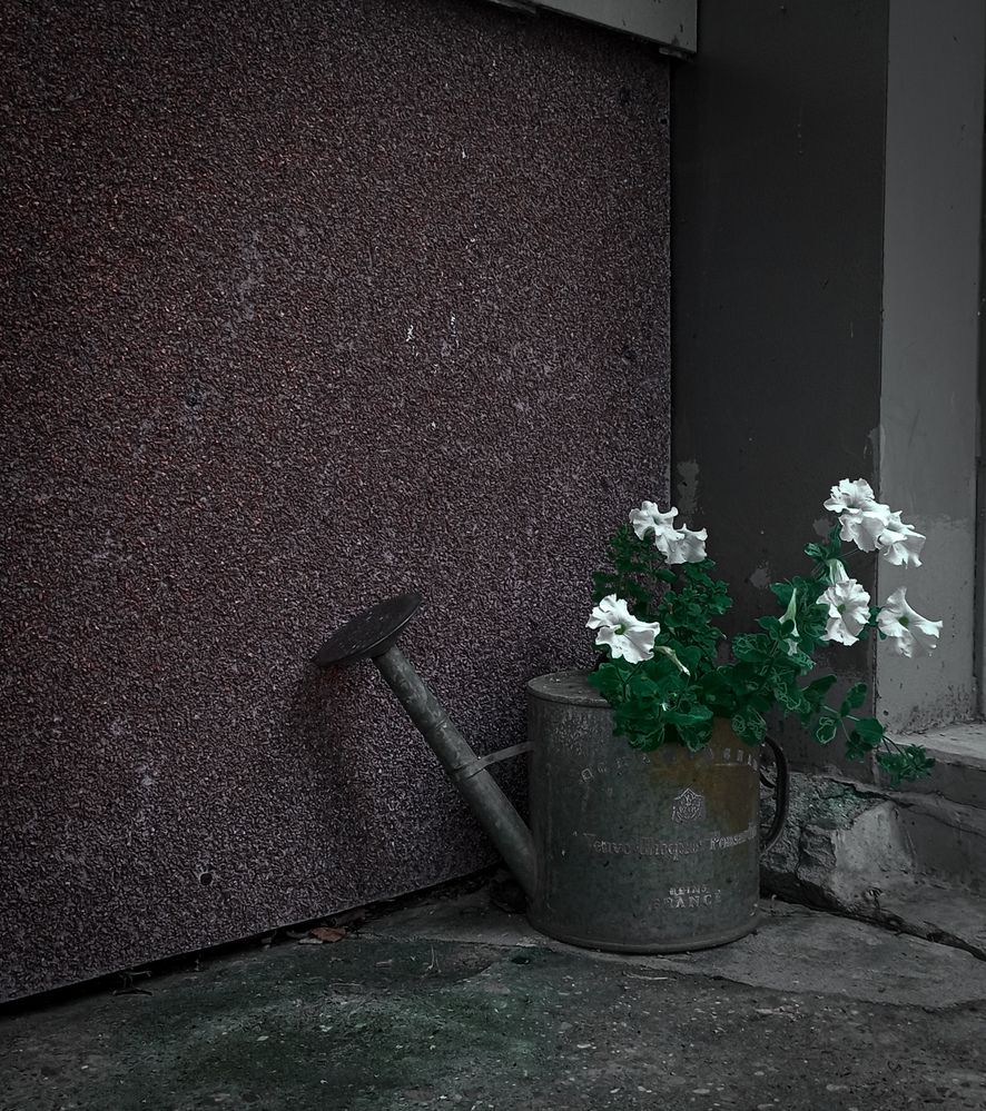 Photograph by Елена Ерасова