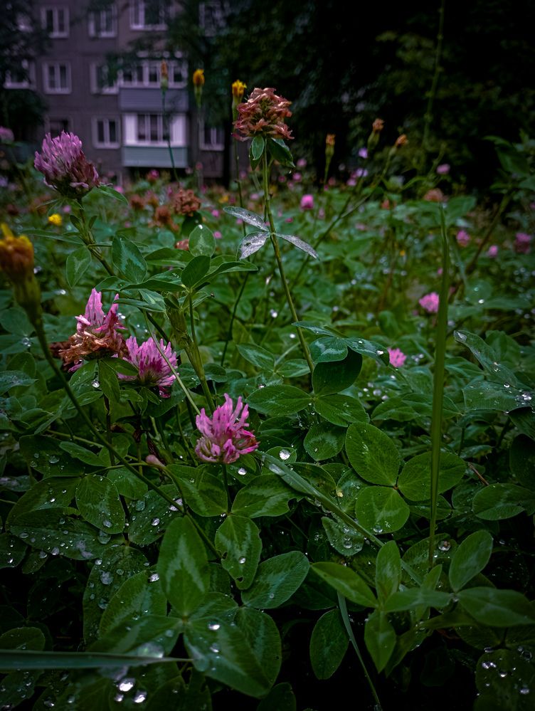 Photograph by Елена Ерасова