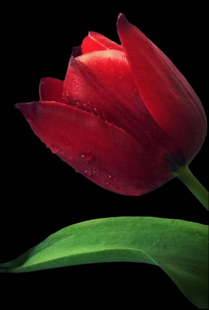 Photograph by Анна Андреевна