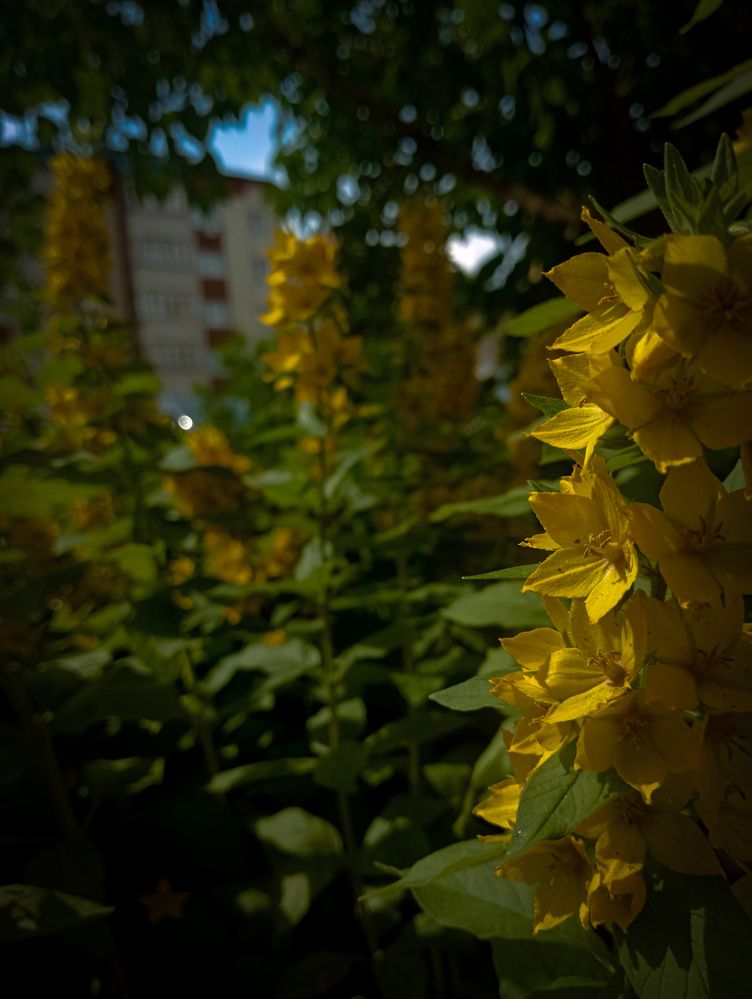 Photograph by Елена Ерасова