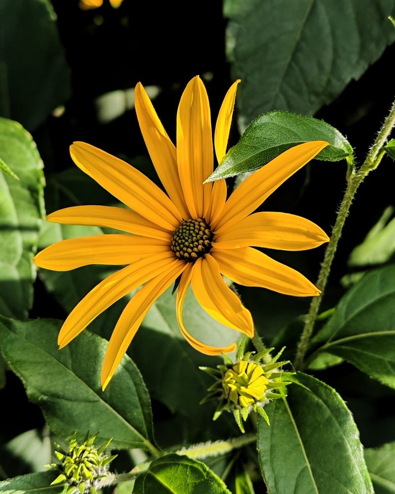 Photograph by Альбина