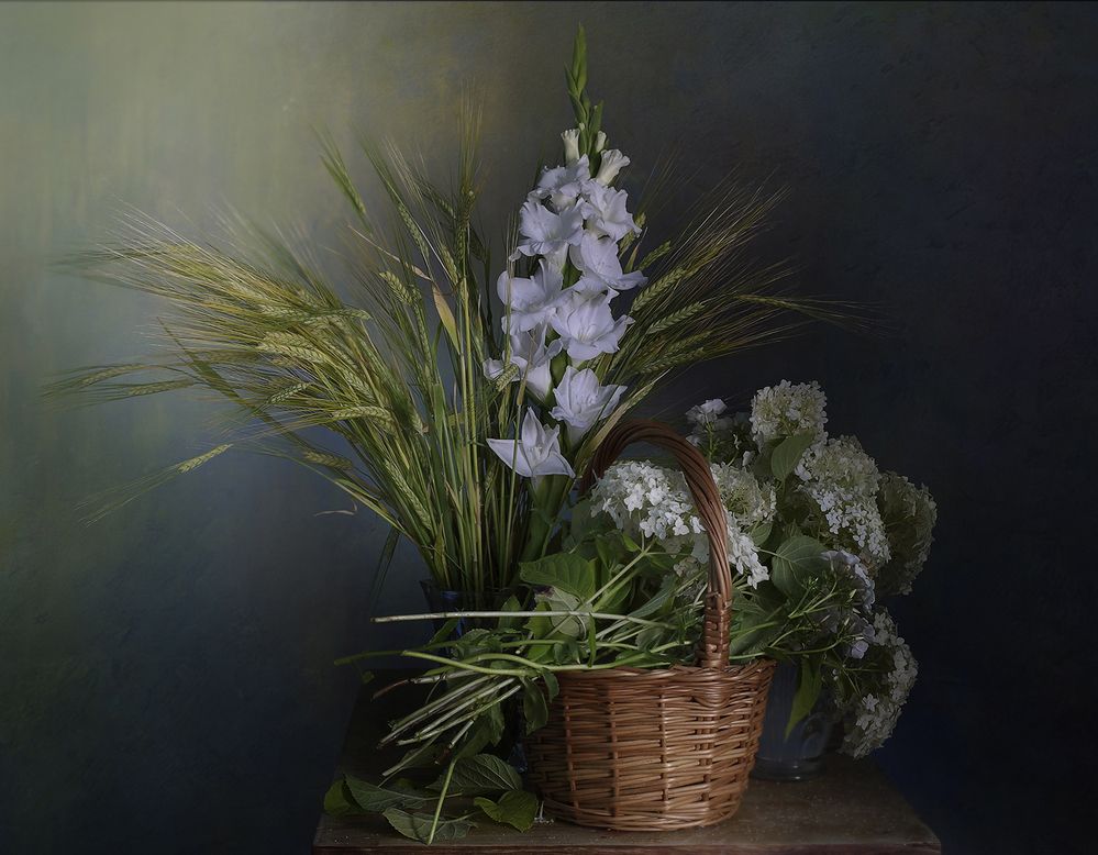 Белая грация