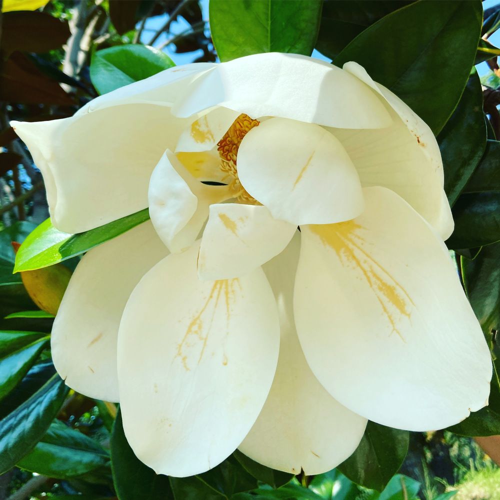 Photograph by Oksana Smorodina