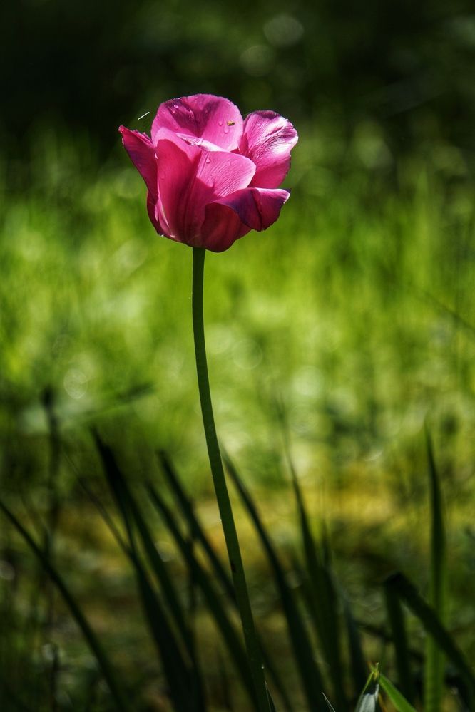 Photograph by Oksana Smorodina