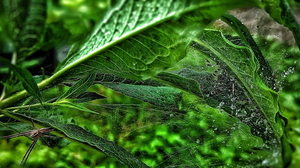 Photograph by Ирина Багдасарова