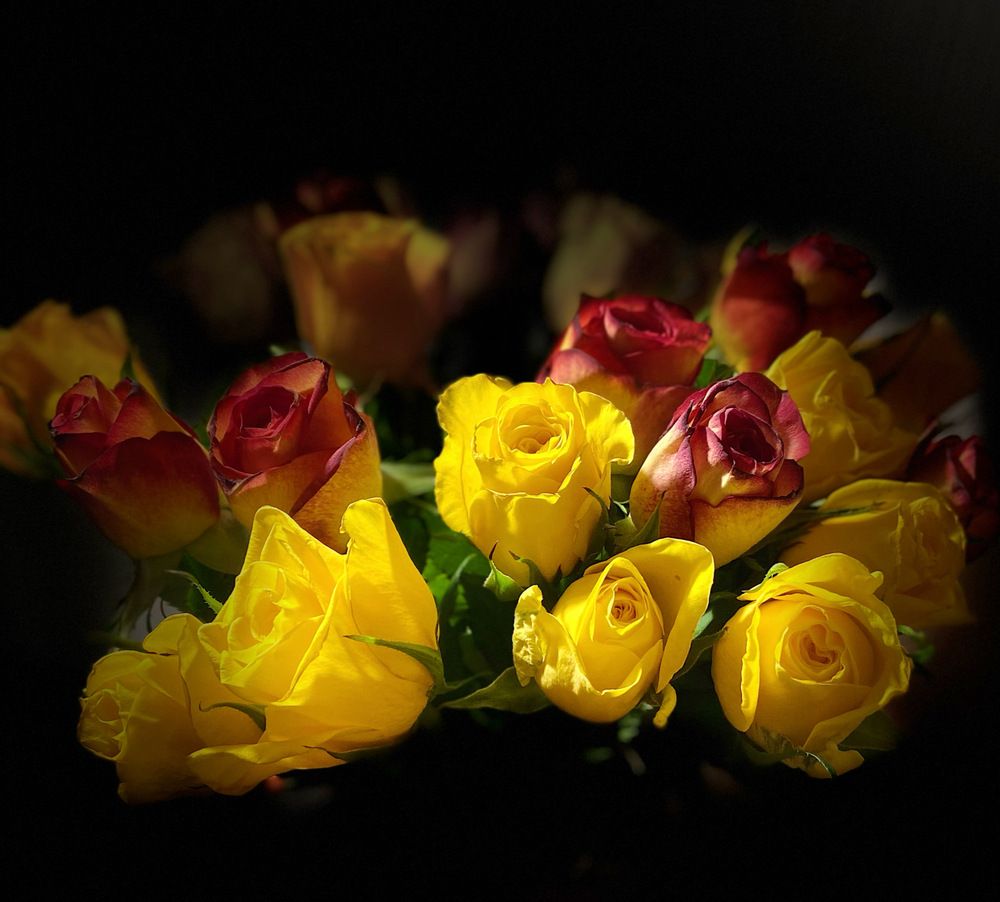 Photograph by Oksana Smorodina