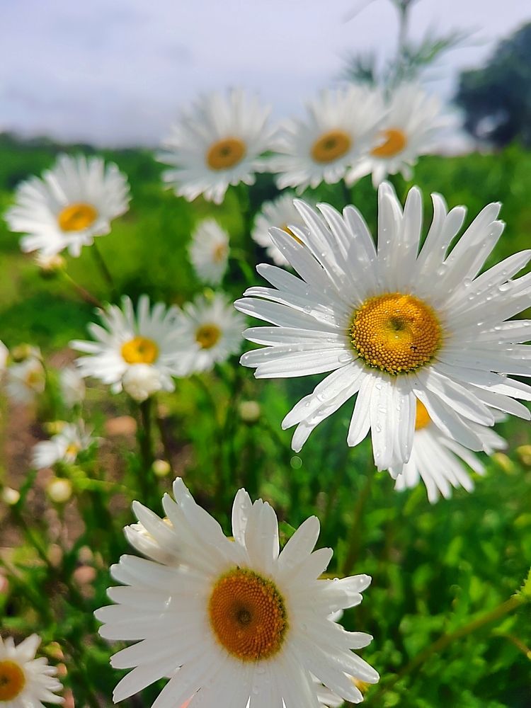 Photograph by НаталиЯ К.