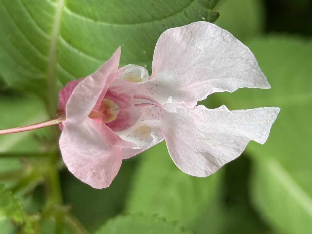 Photograph by Владислав Рубцов