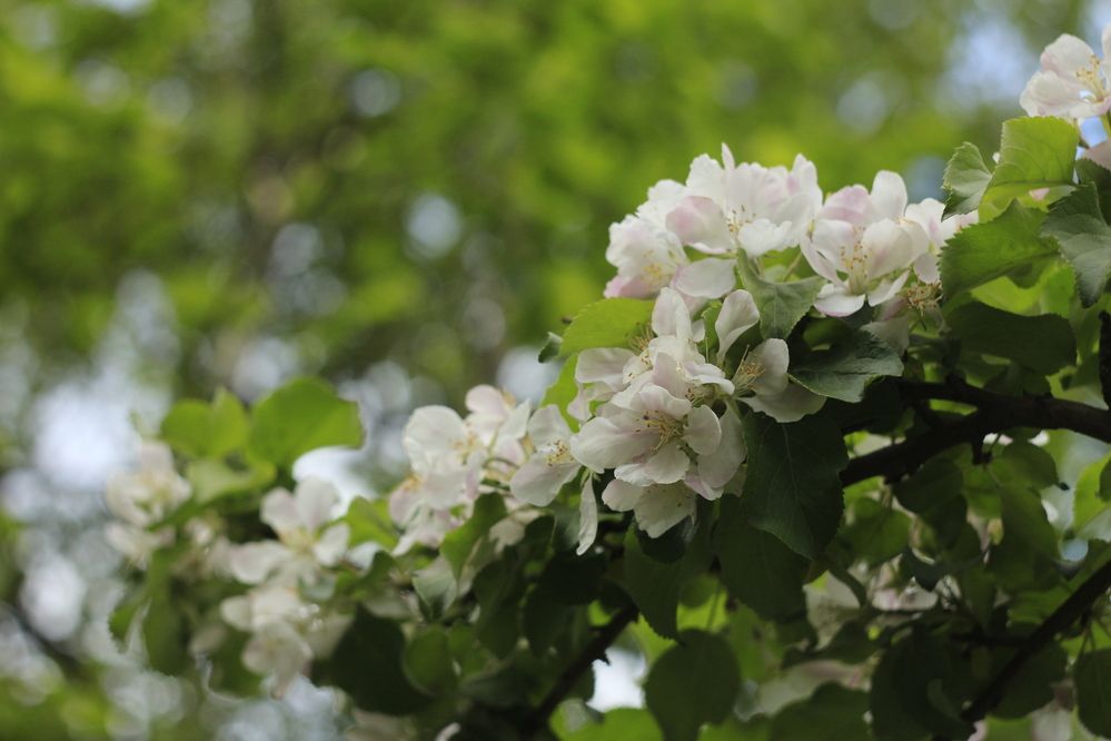 Photograph by Екатерина Иванова