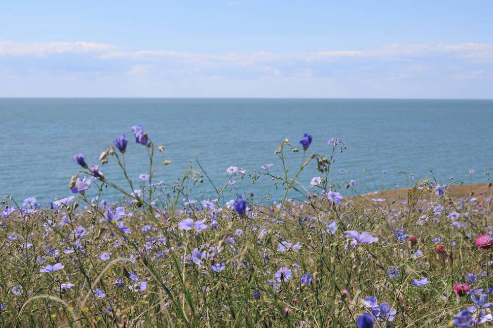 Фотография автора Ярослав Качура