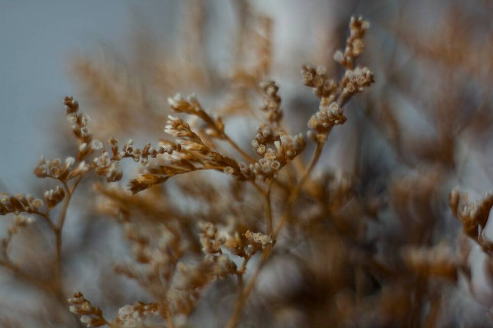 Фотография автора Ярослав Качура