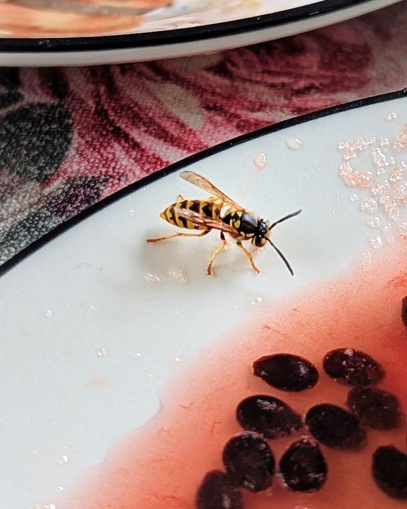 Photograph by Ирина Багдасарова