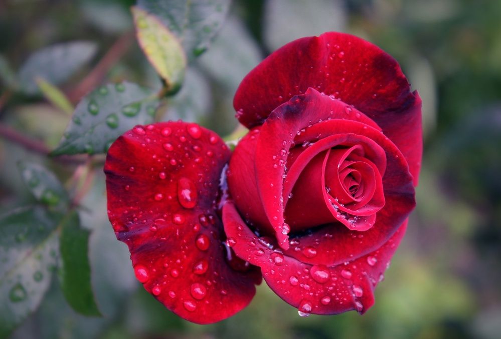 Photograph by Татьяна Сычёва