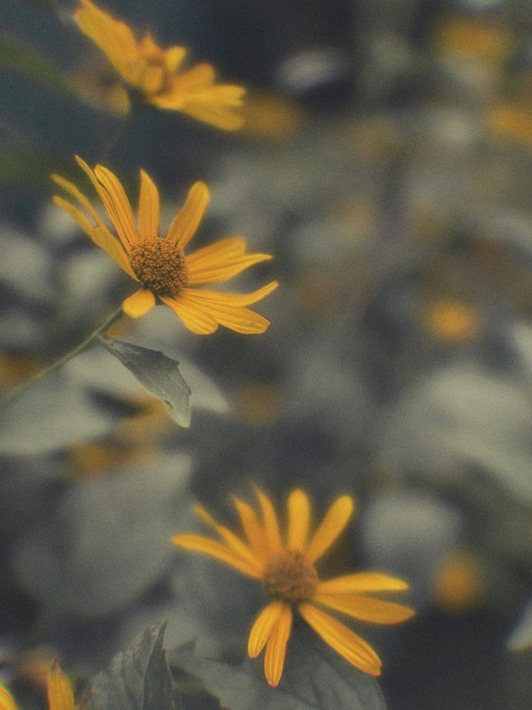 Photograph by Маргарита Сергуткина