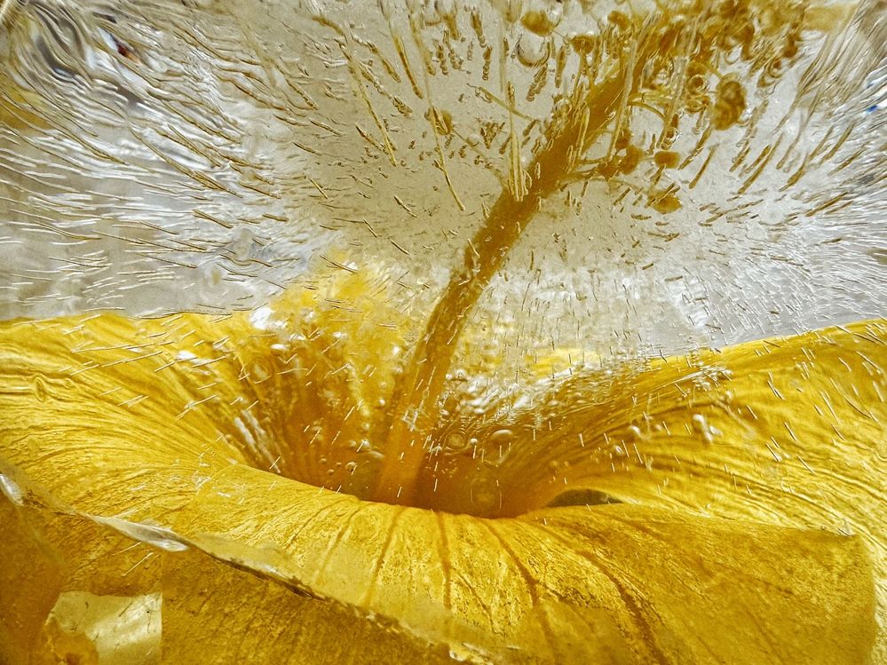Photograph by Маргарита Сергуткина