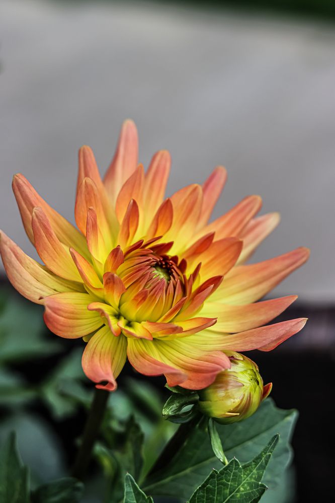 Photograph by Аня Проскурякова