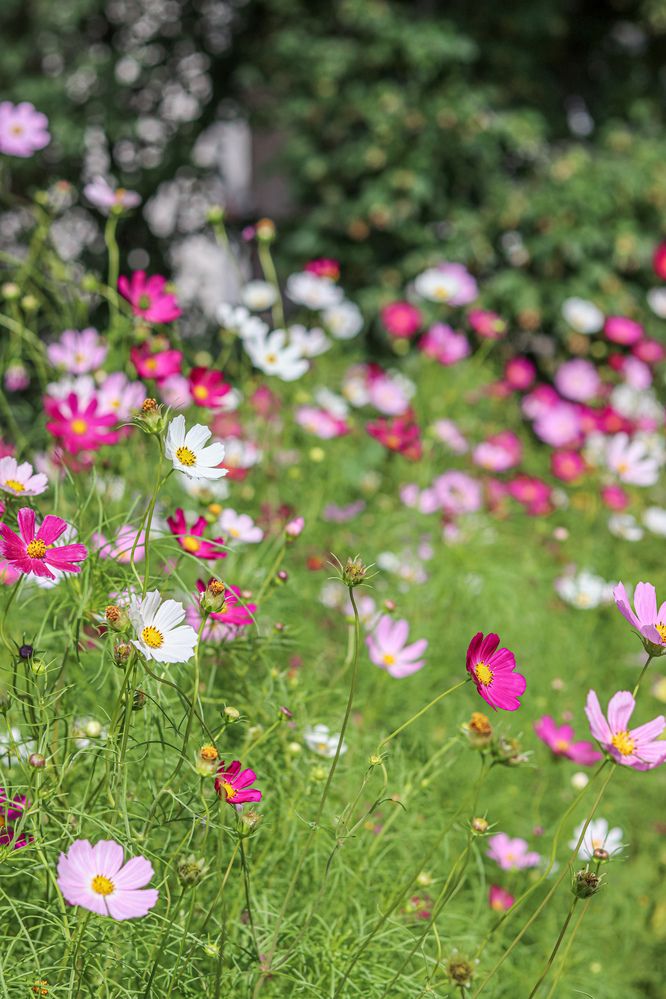 Photograph by Аня Проскурякова