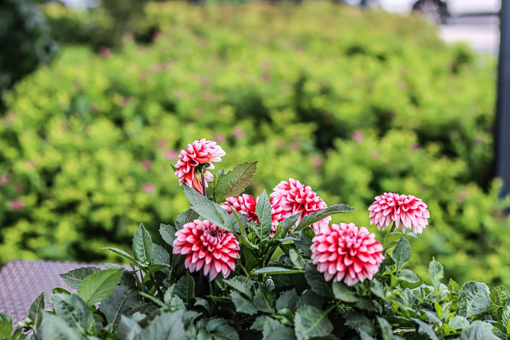 Photograph by Аня Проскурякова