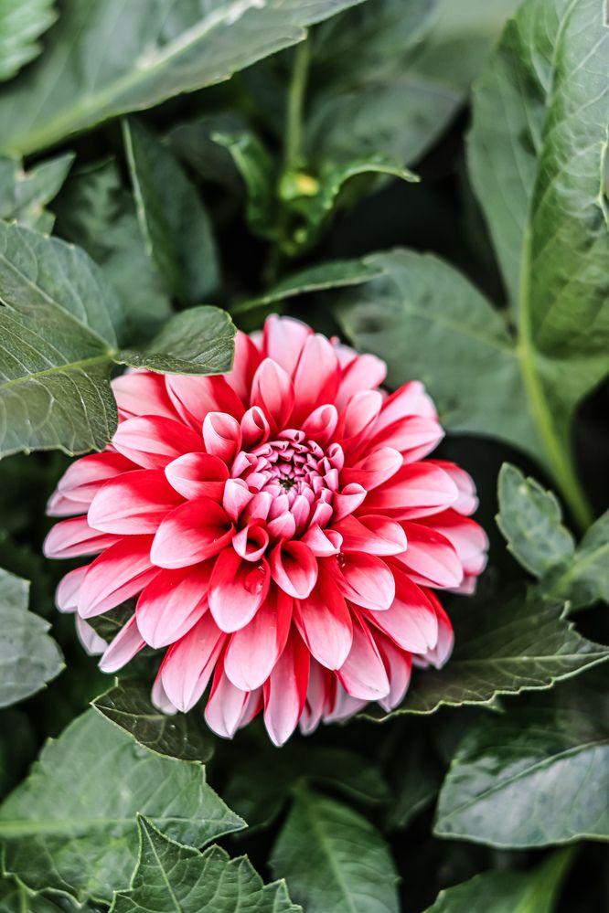 Photograph by Аня Проскурякова