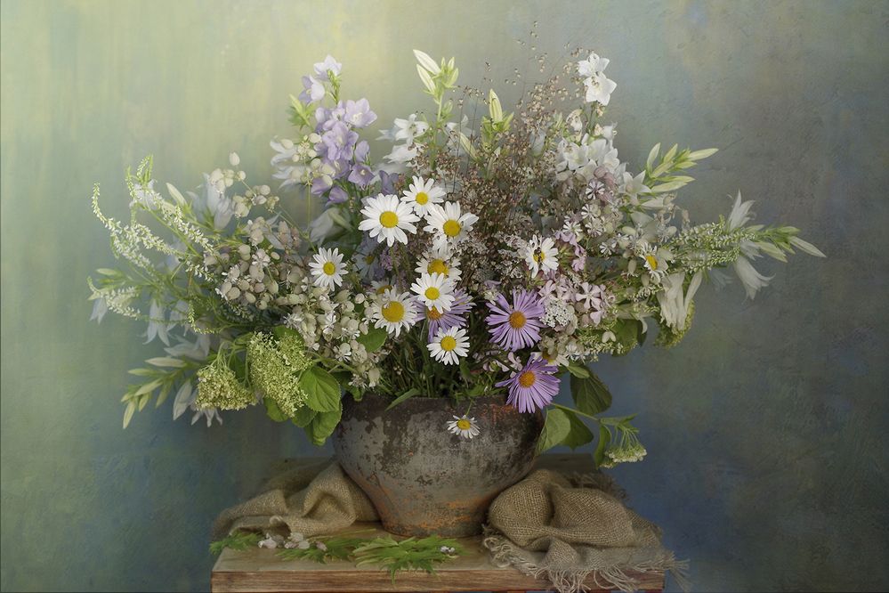 Летние грёзы