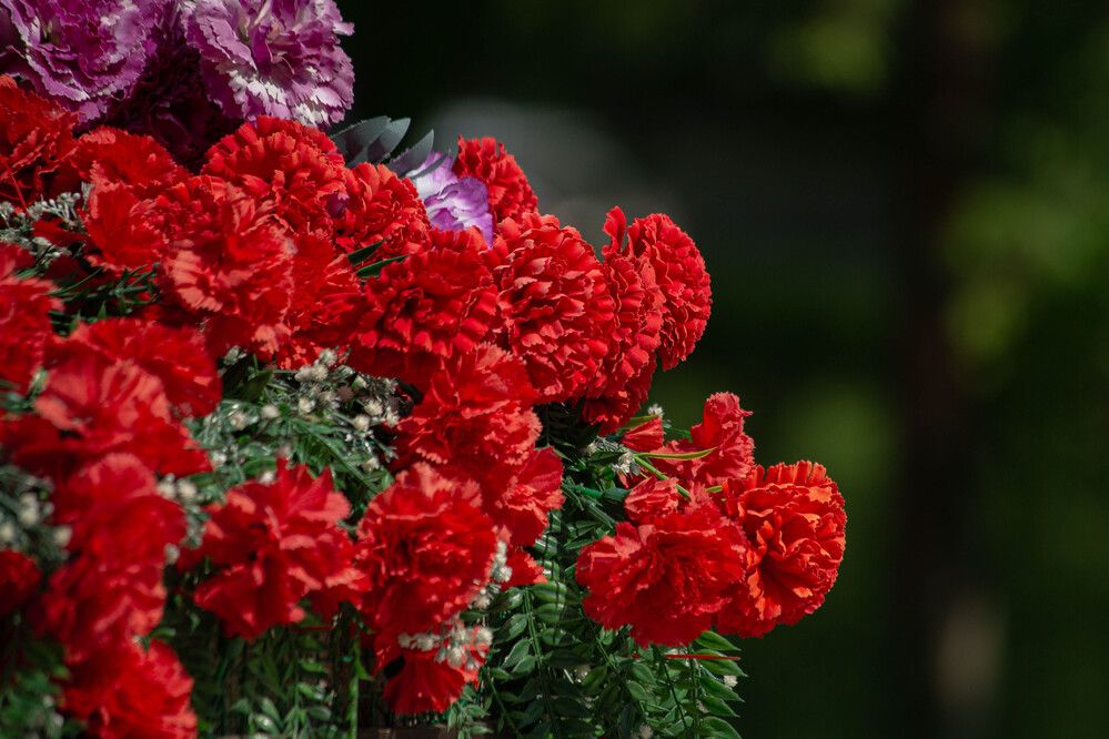 Photograph by Евгений Авдеев