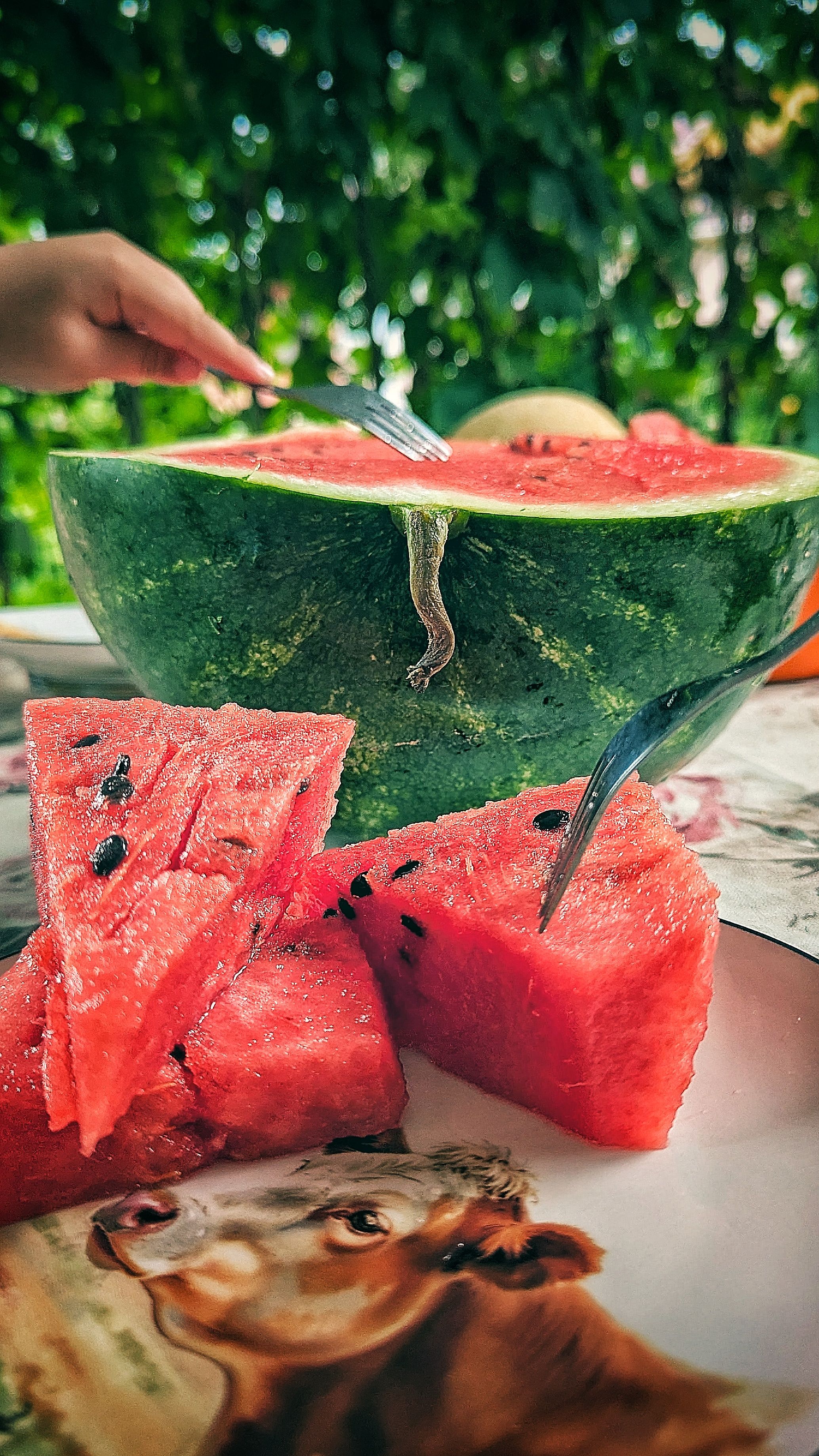 Photograph by Ирина Багдасарова