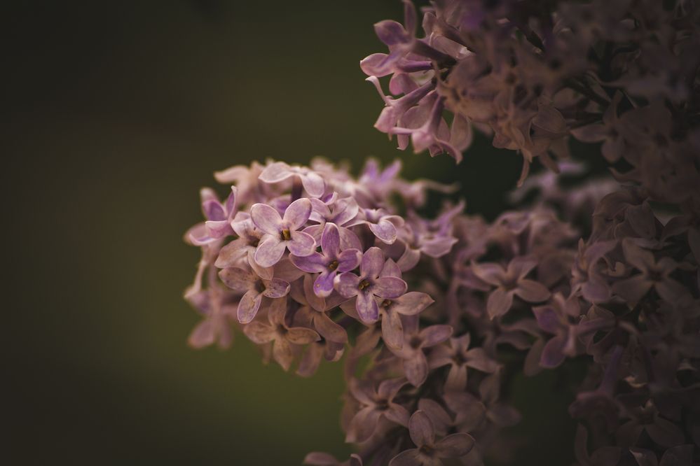 Photograph by Евгений Авдеев