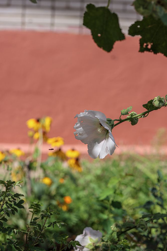 Photograph by Аня Проскурякова