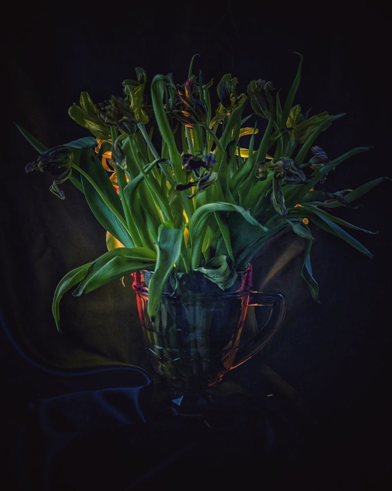 Photograph by Ирина Багдасарова