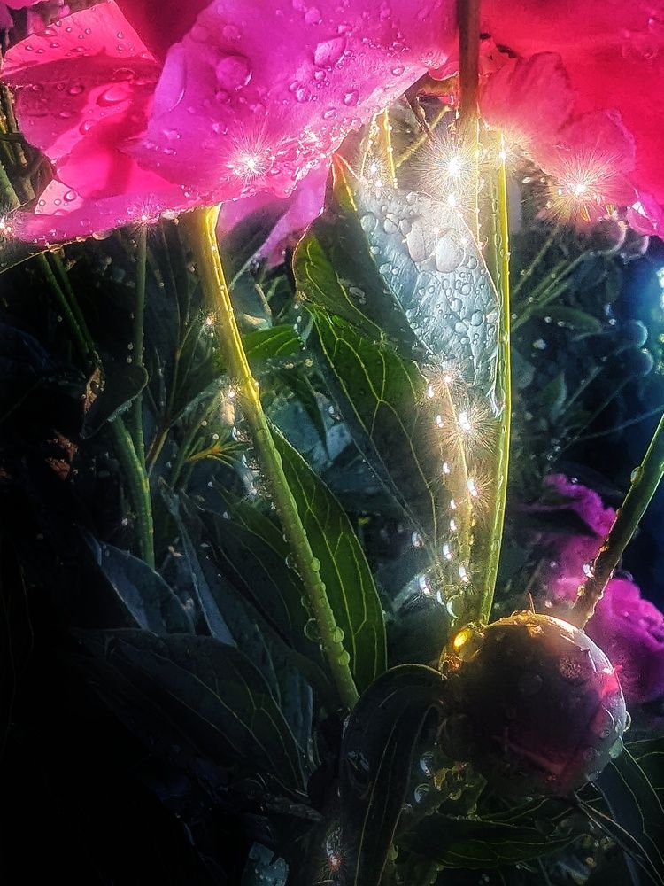 Photograph by Ирина Багдасарова