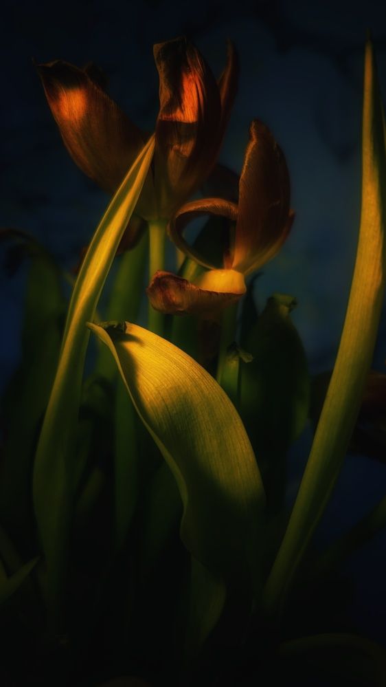 Photograph by Ирина Багдасарова