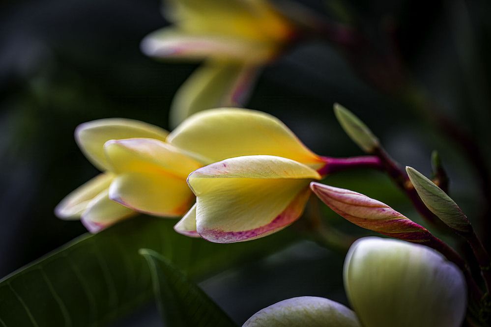 Фотография автора Ray Asiala