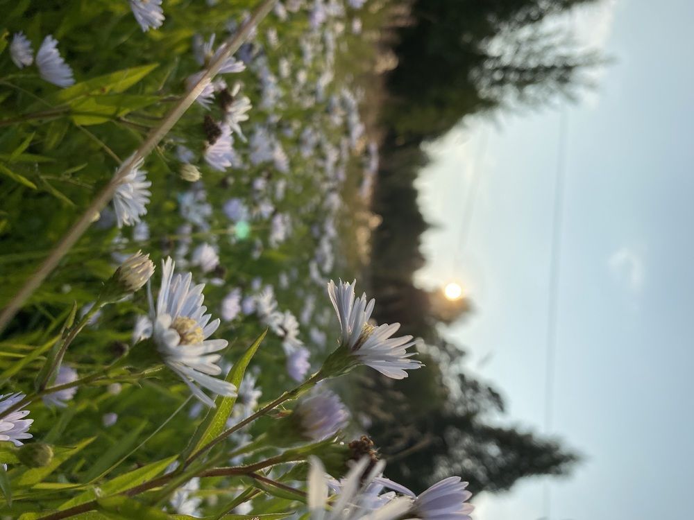 Photograph by Олеся Чистова