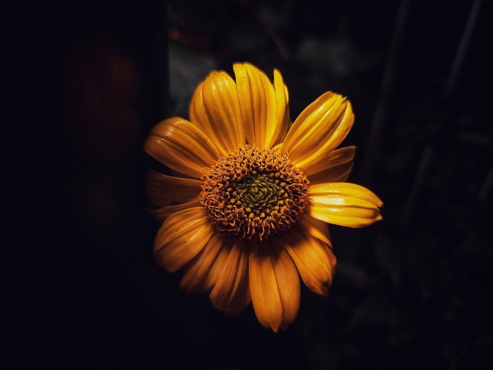 Photograph by Chinmaya Patil