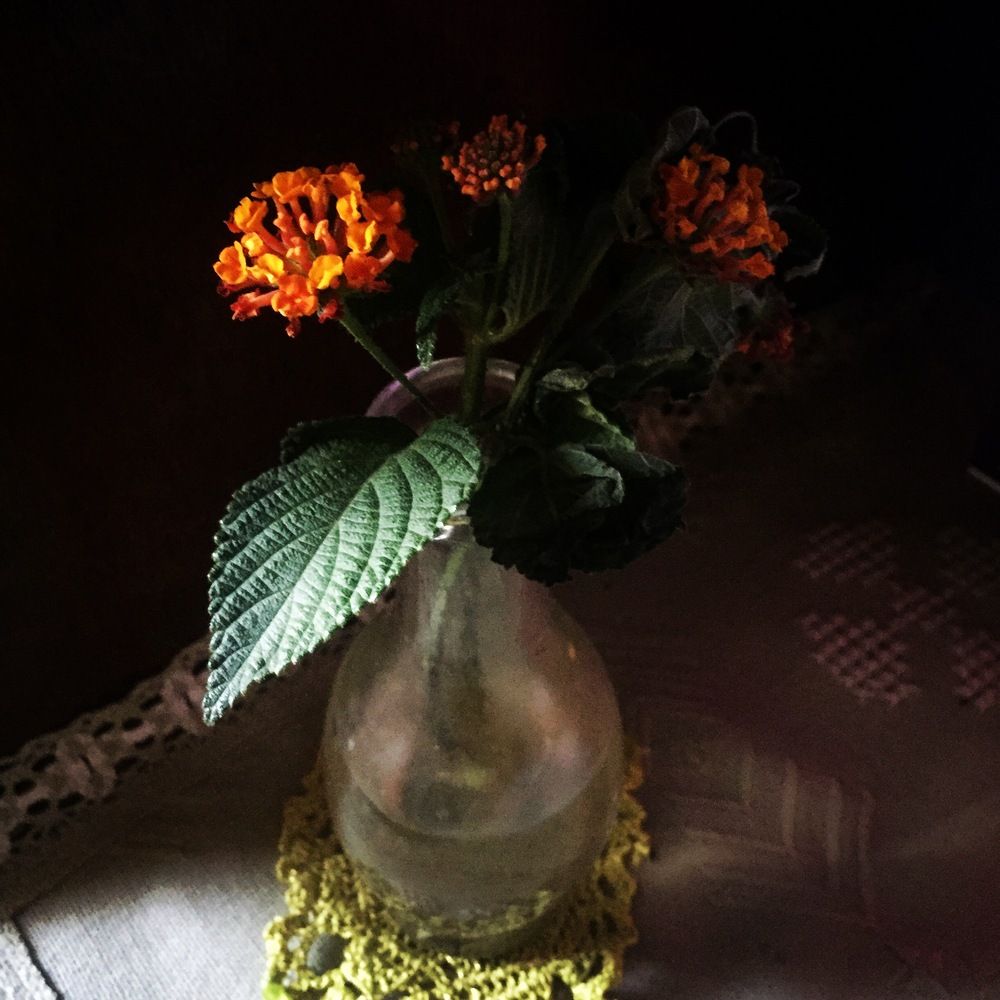 Фотография автора Kheria Mkadem