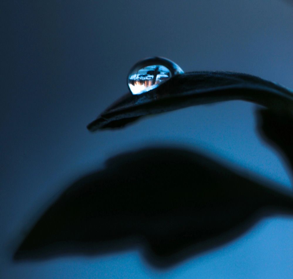 Photograph by Галина Чернякова