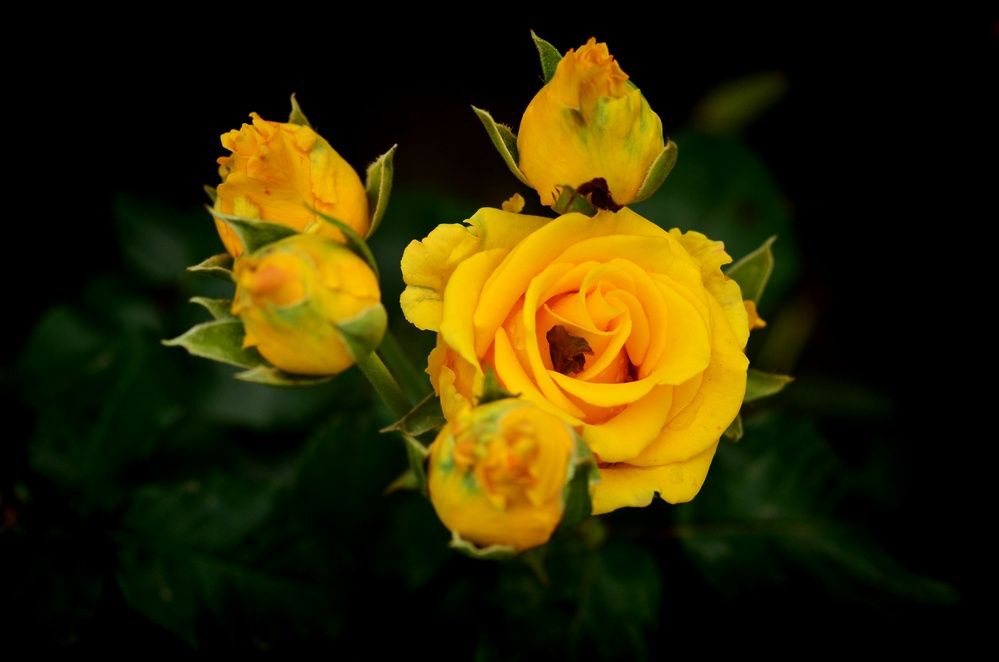 Фотография автора Никита Русецкий