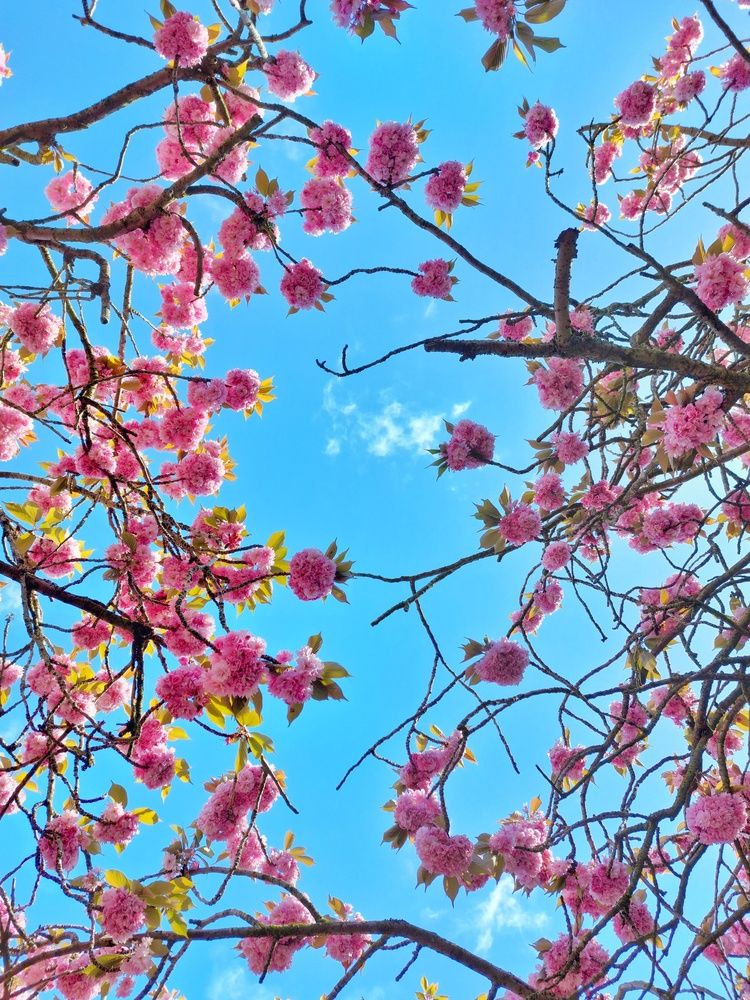 Photograph by Chinmaya Patil