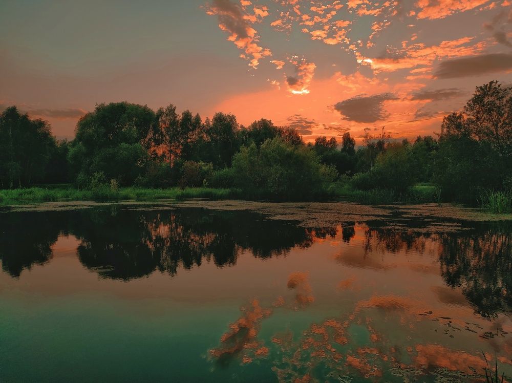 Photograph by Осадчая Анна