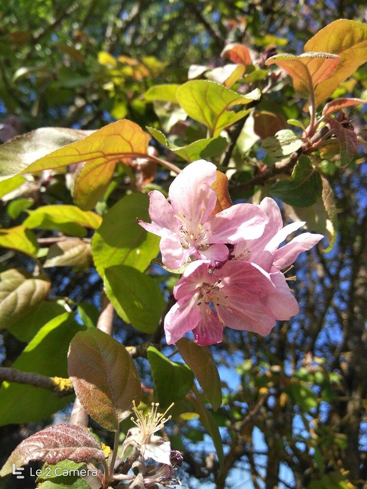 Photograph by Анна Лукина