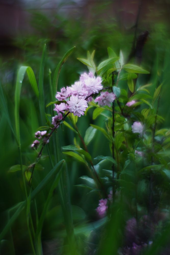 Photograph by Ольга Аристова