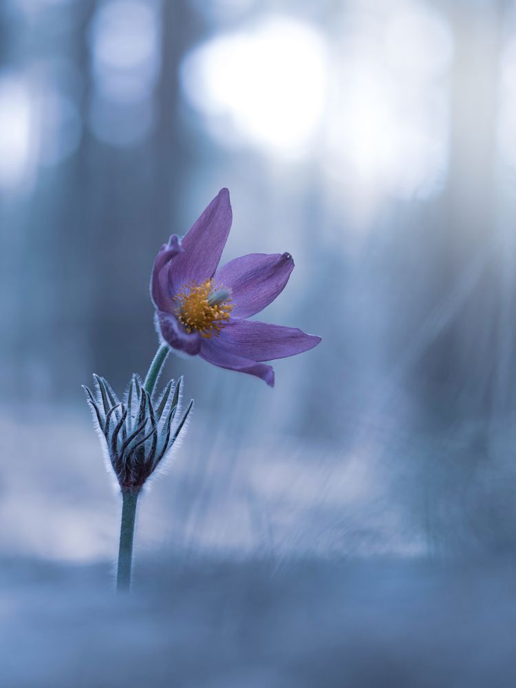 Photograph by Владлена Лапшина